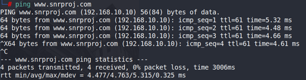 Ping resolving SnrProj.com to 192.168.10.10